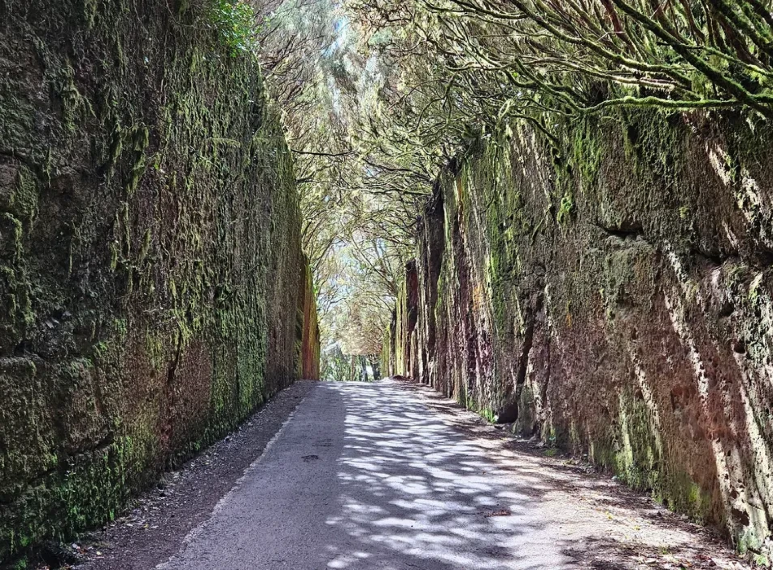 Tunel de las hadas 1
