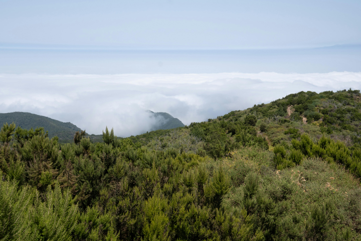 Roque de Agando 2