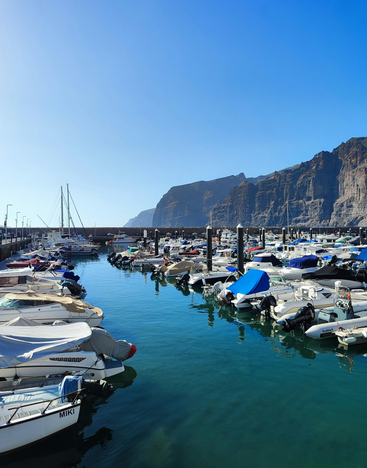 Los Gigantes 1